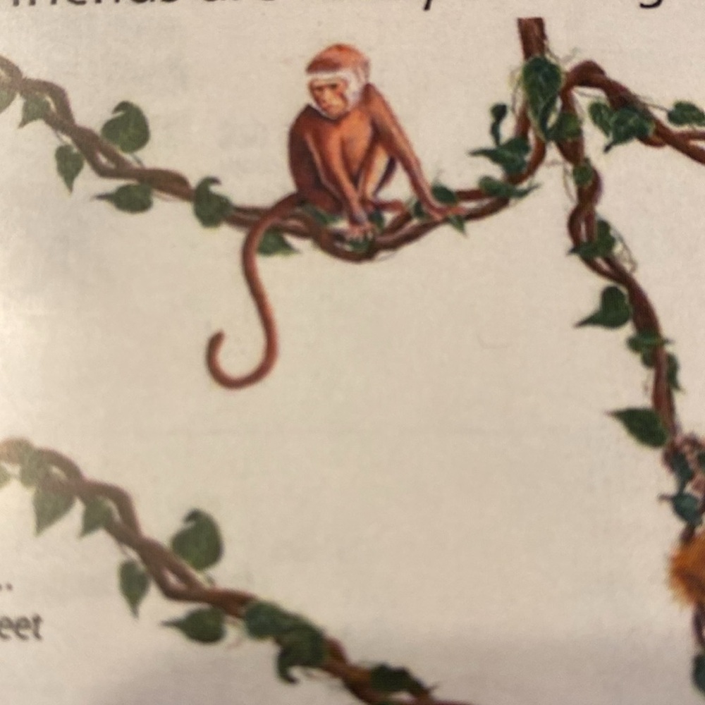 Tatouage Decorative Monkey Rub on Mural